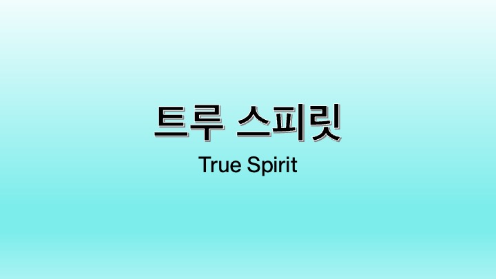 영화 트루 스피릿