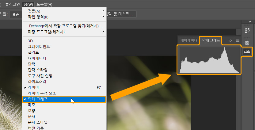 레벨 사용 중 표시되는 히스토그램