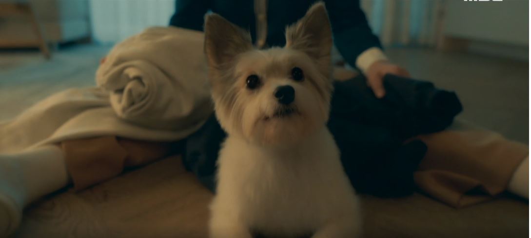 오늘도사랑스럽개_7회