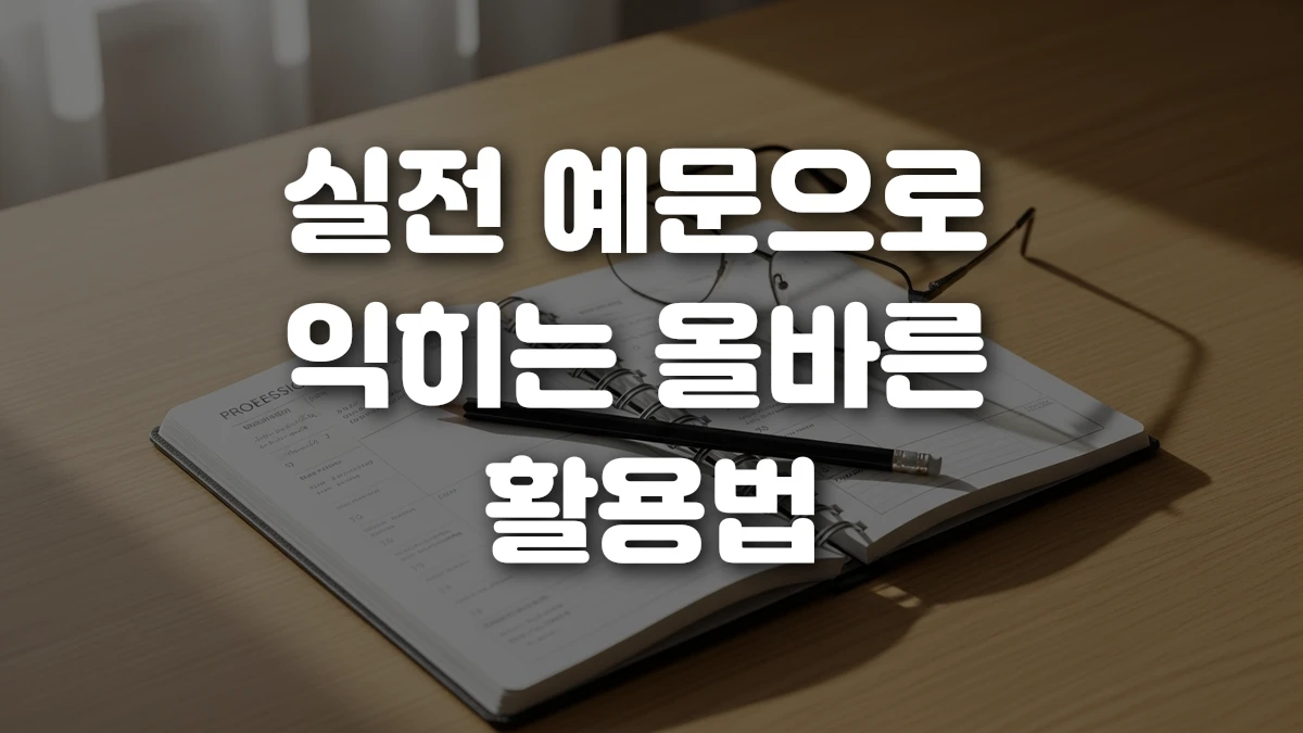 실전 예문으로 익히는 올바른 활용법