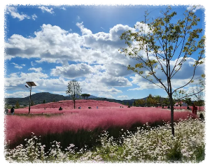 합천신소양체육공원