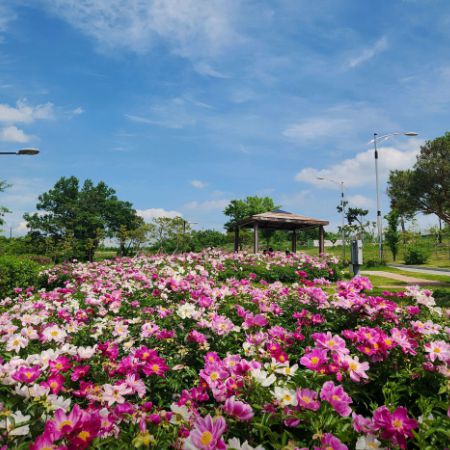 삼성현역사문화공원