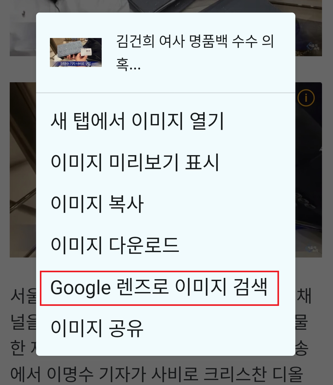김건희 명품백 이미지, 구글 렌즈로 이미지 검색