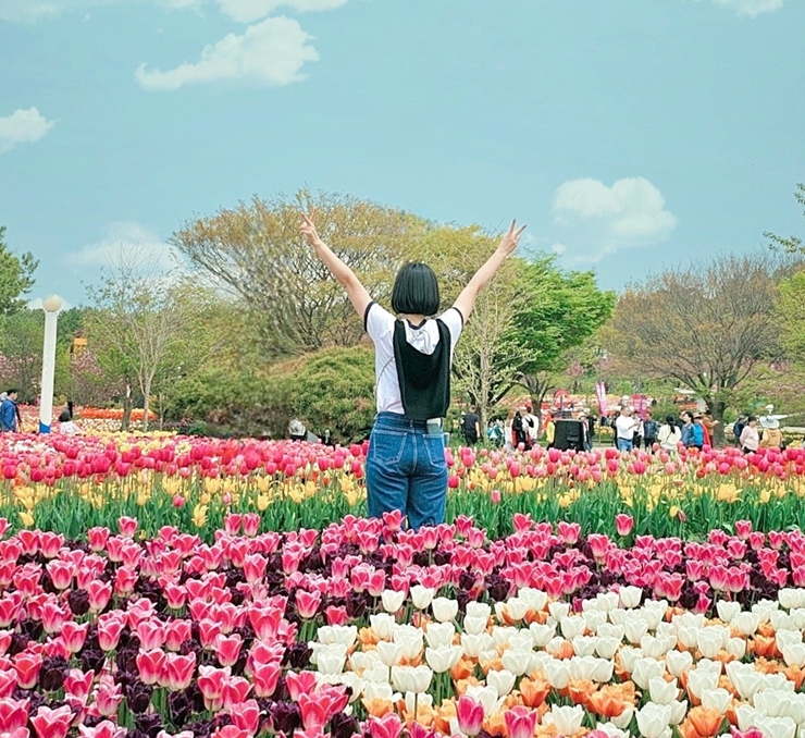 태안 튤립축제