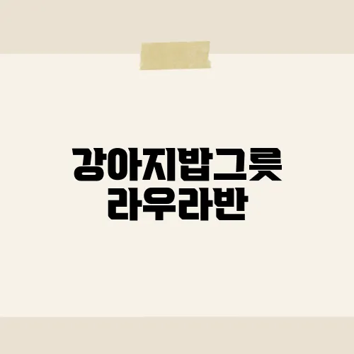 강아지밥그릇 라우라반, 세련된 디자인과 실용성을 겸비한 반려견 식기 리뷰