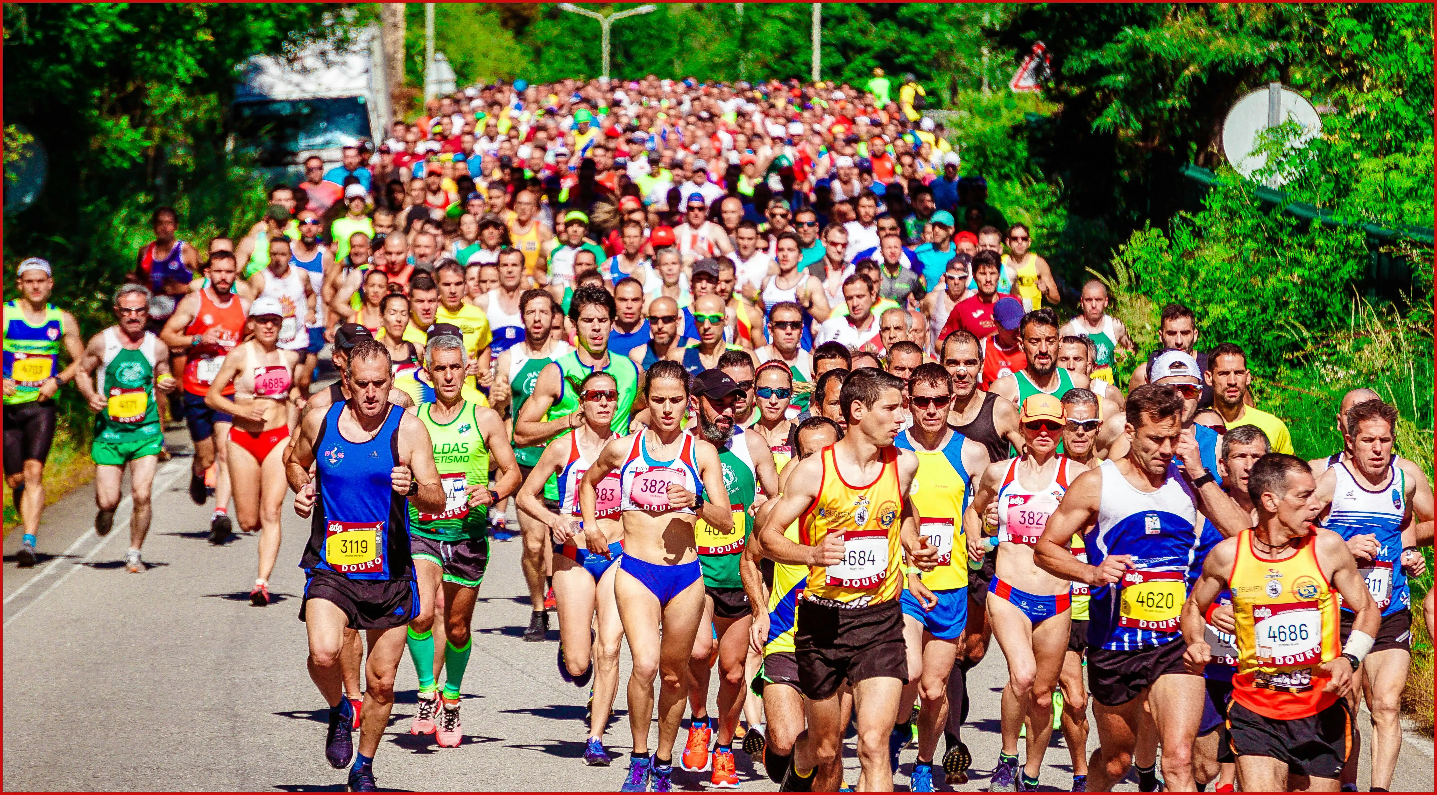 서울 하프 마라톤 2025 일정 및 참가 신청 방법 (코스 정보)