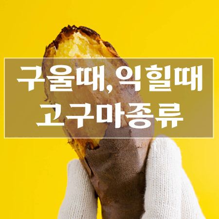 고구마-전자렌지에-굽는법