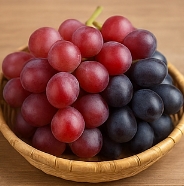 포도 종류