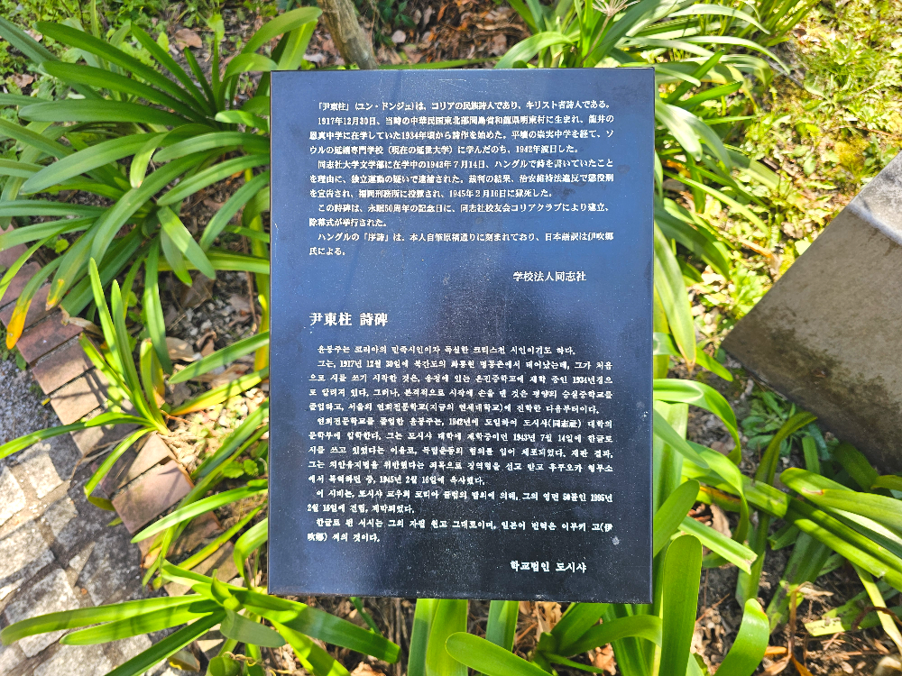 도시샤대학 윤동주 시비