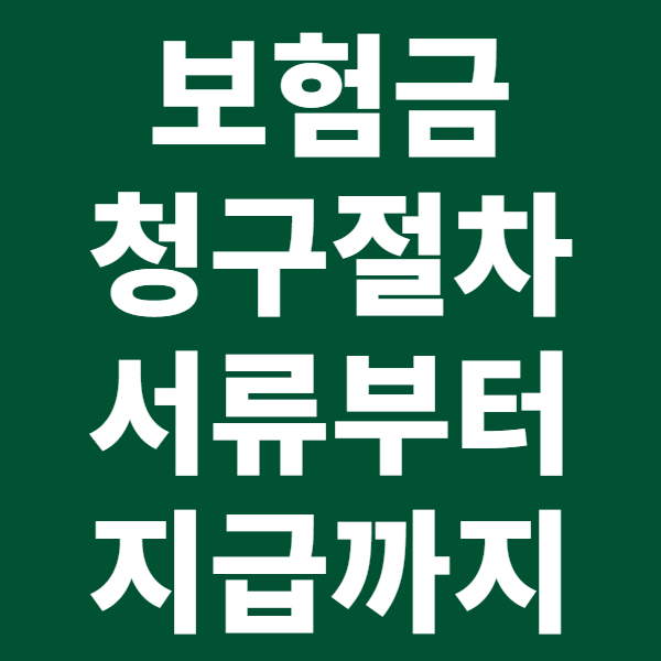 보험금 청구 절차 완벽 정복: 서류부터 지급까지 모든 과정