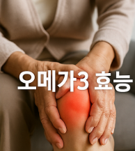 오메가3 효능