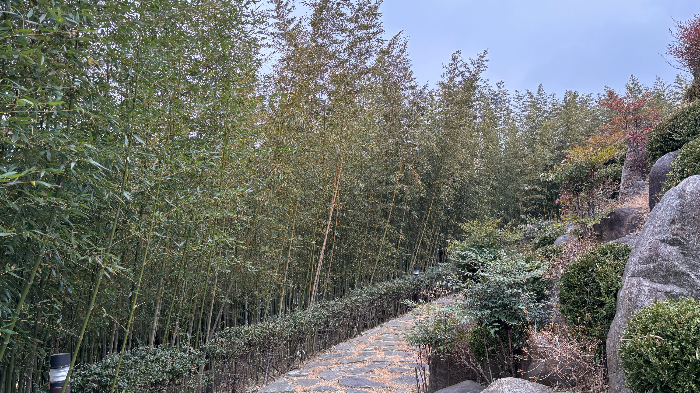 삼척이사부사자공원