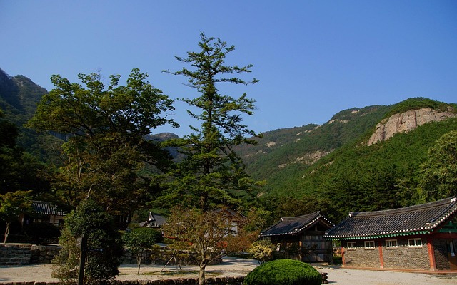 지역적 제약