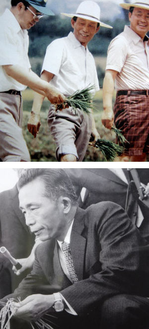 영웅인가? 죄인인가? 박정희 프로필