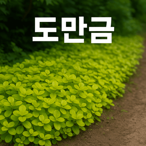 잡초 걱정 없는 정원 만들기! 도만금 지피식물 추천 가이드