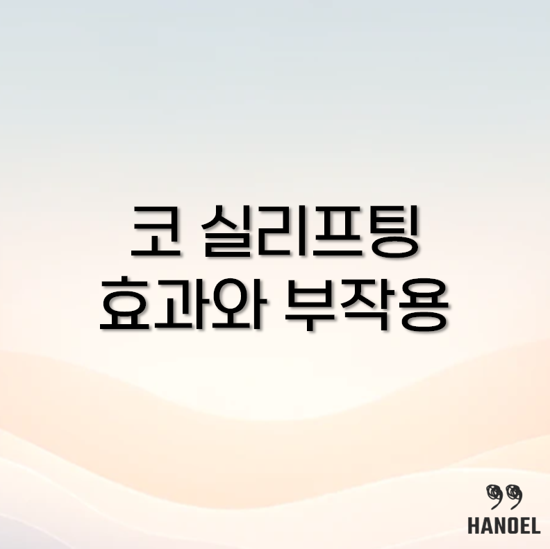 코 실리프팅