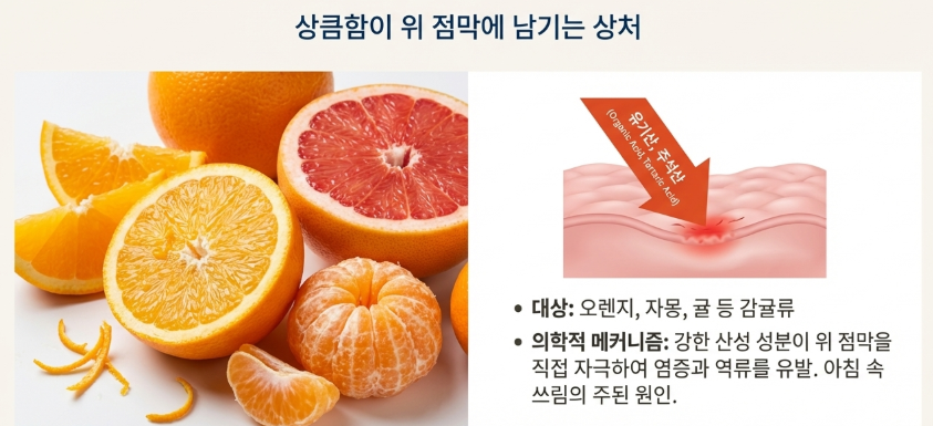 산도가 높은 과일 (오렌지, 자몽, 귤)이 위점막에 상처준다