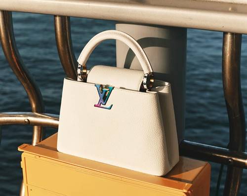 루이비통 카퓌신 & 트위스트 핸드백