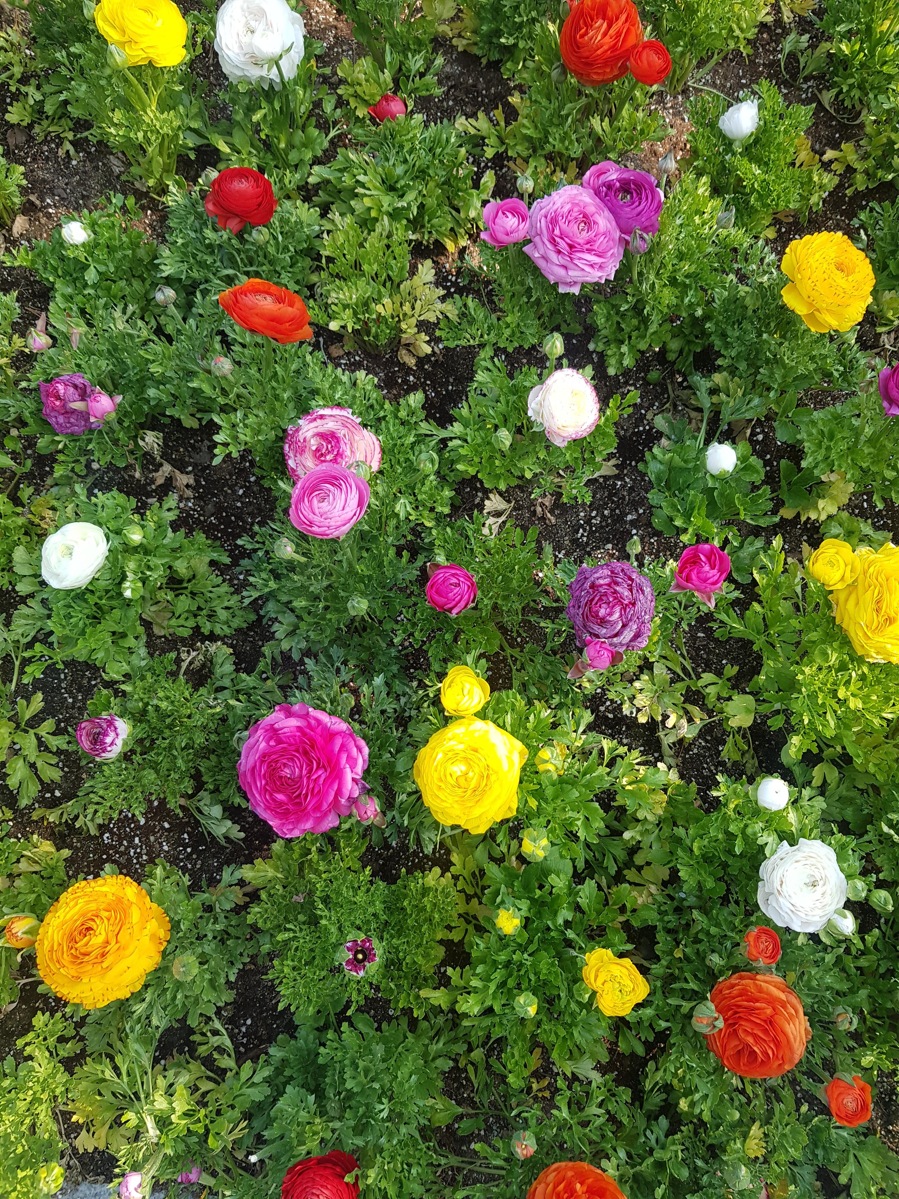 2026 수능 일정표