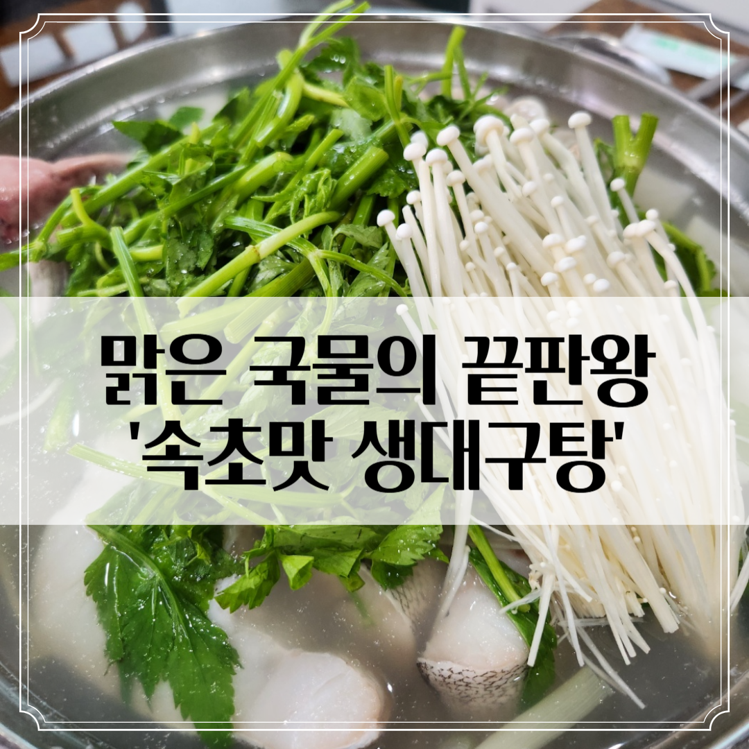 속초 대포항 '속초맛 생대구탕' - N번째 방문해도 맛있는 생대구탕집