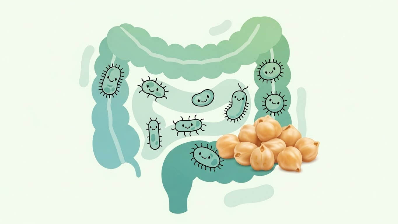 식이섬유의 보고, 병아리콩