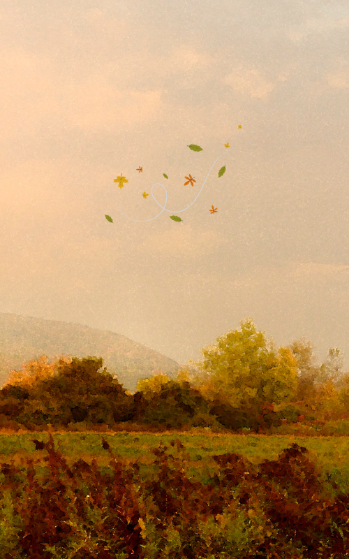 카톡 배경화면 사진 이미지 카카오톡 배경화면 바꾸기 무료 이미지 모음