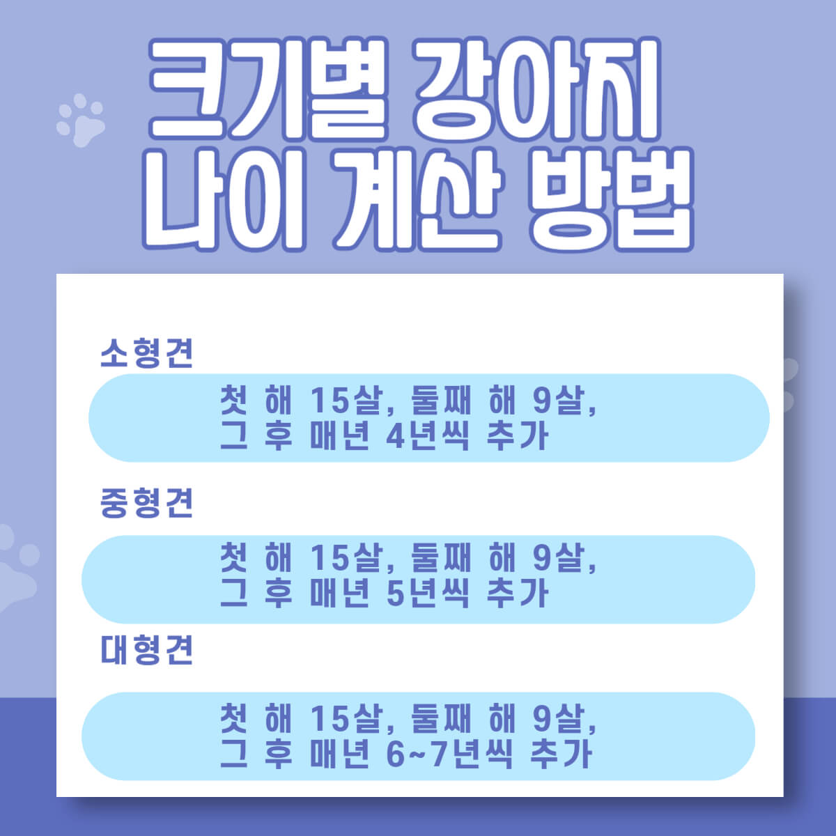 강아지 반려견 나이 사람 나이로 계산하는 방법