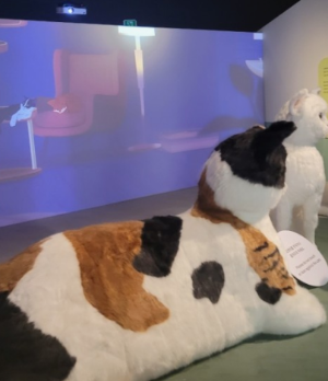 '요물' 우리를 홀린 고양이 전시회