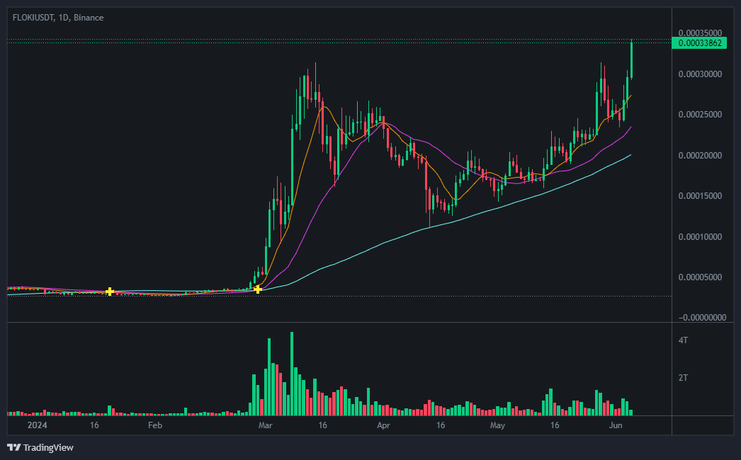 플로키(FLOKI) 코인 차트 분석
