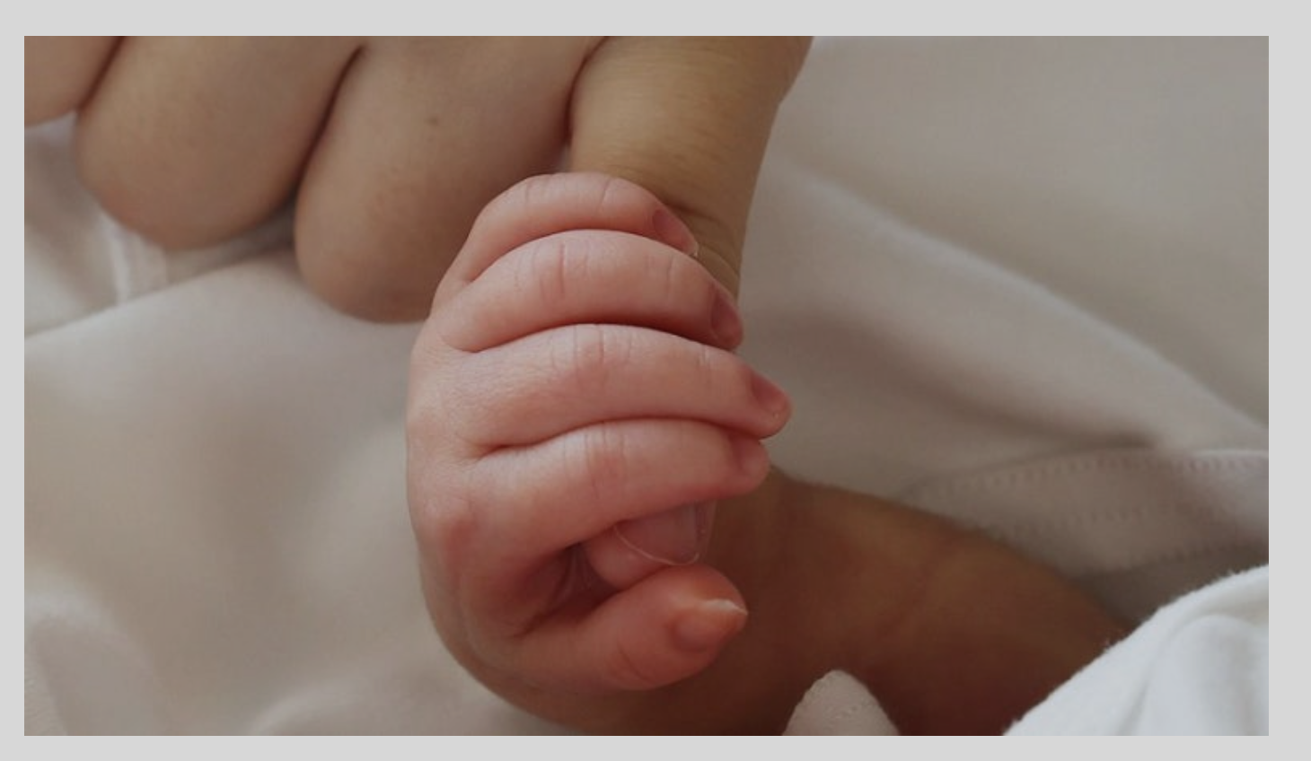 등급 확인 방법