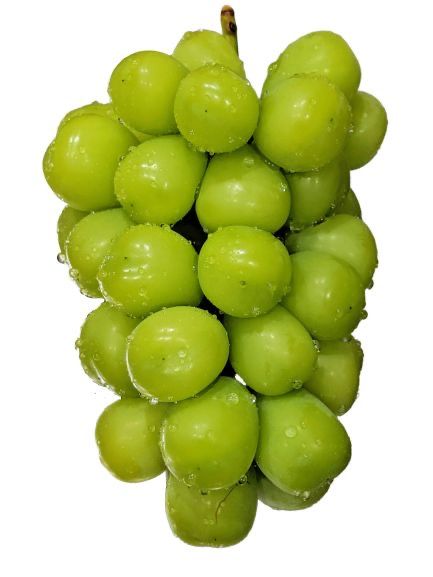 샤인머스켓 효능