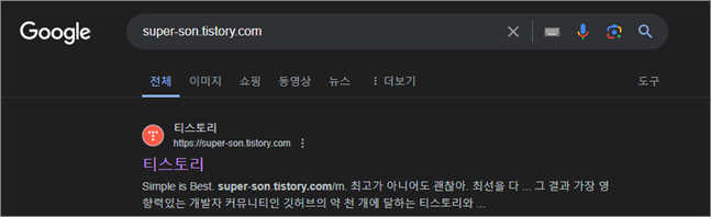 블로그 검색 결과 스크린샷