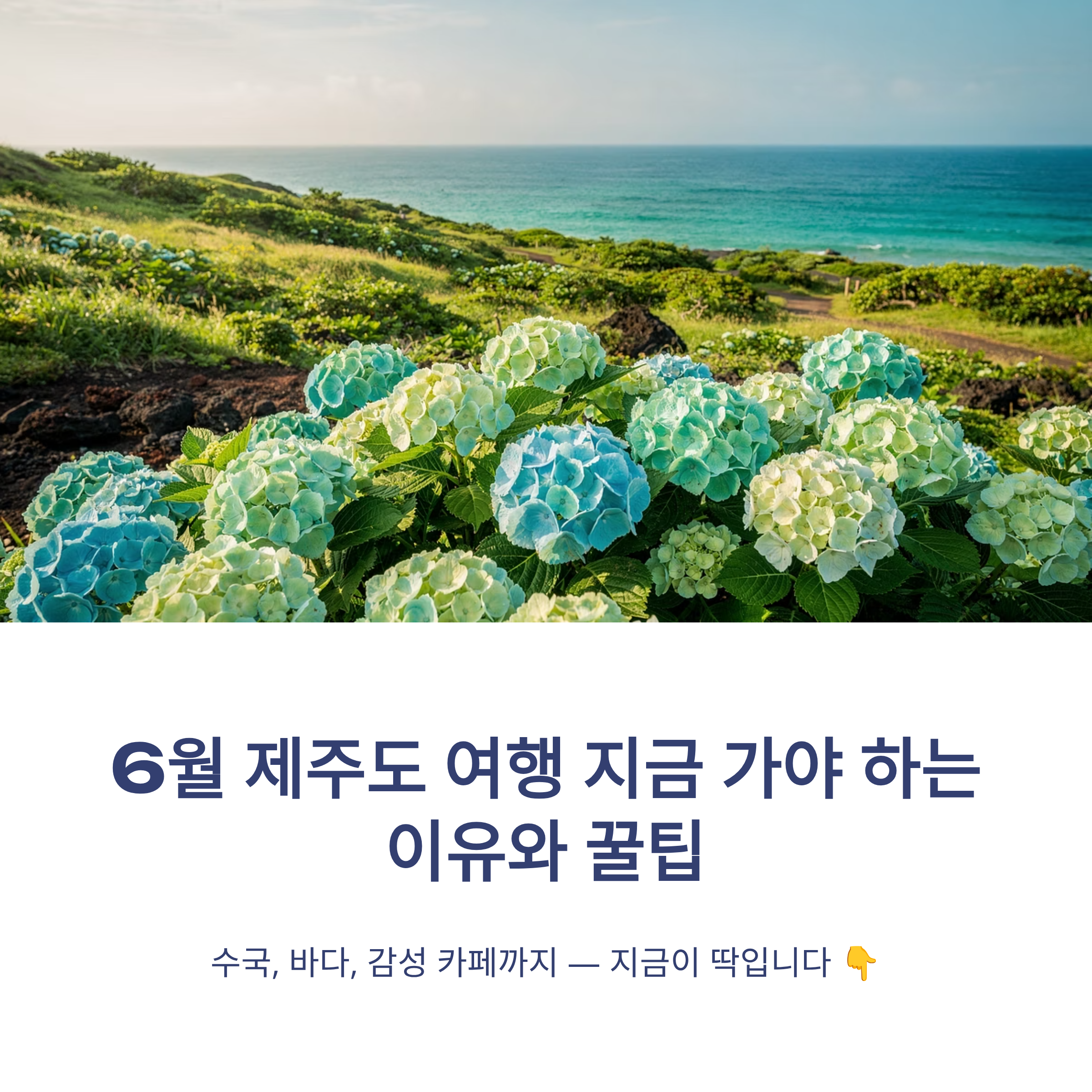 6월 제주도 여행 지금 가야 하는 이유와 꿀팁