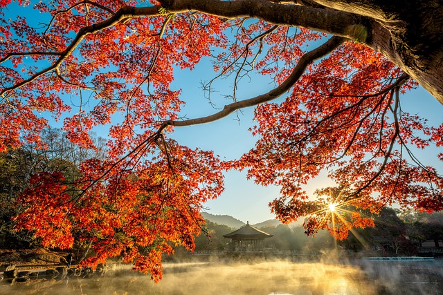 2025 지리산 피아골 단풍축제(10월27일 월요일부터 신청 시작)🍁 절정 시기·등산 코스·사진 명소 총정리!