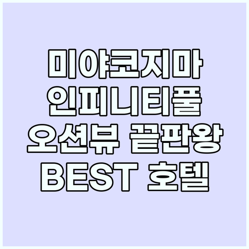미야코지마 BEST 인피니티풀 호텔:..