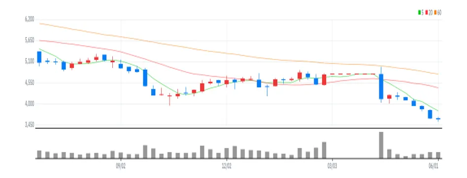현대지에프홀딩스 주봉