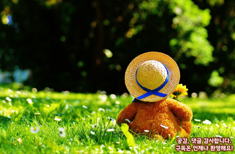 장난감소독및세척방법