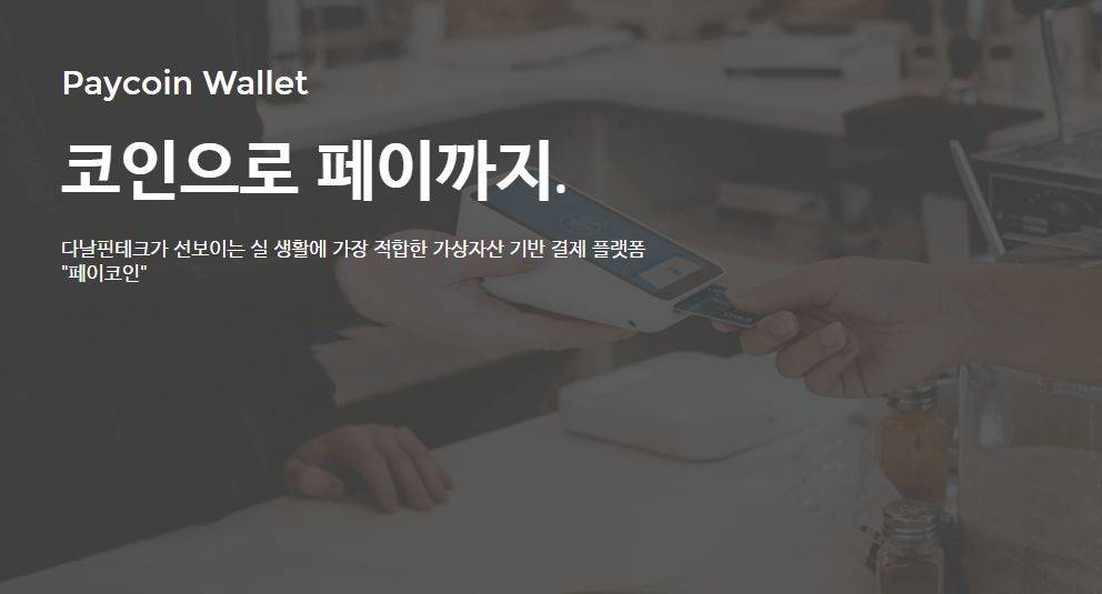 페이코인 전망