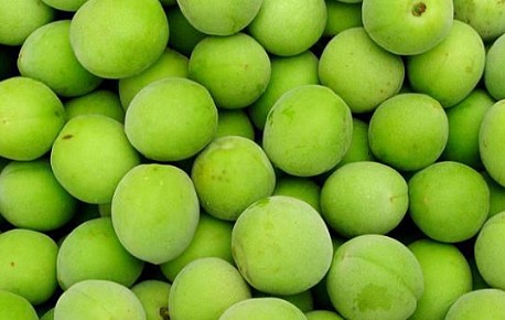 매실의 종류, 효능 및 보관법(냉장, 냉동), 만드는법(매실장아찌, 매실청, 매실엑기스)