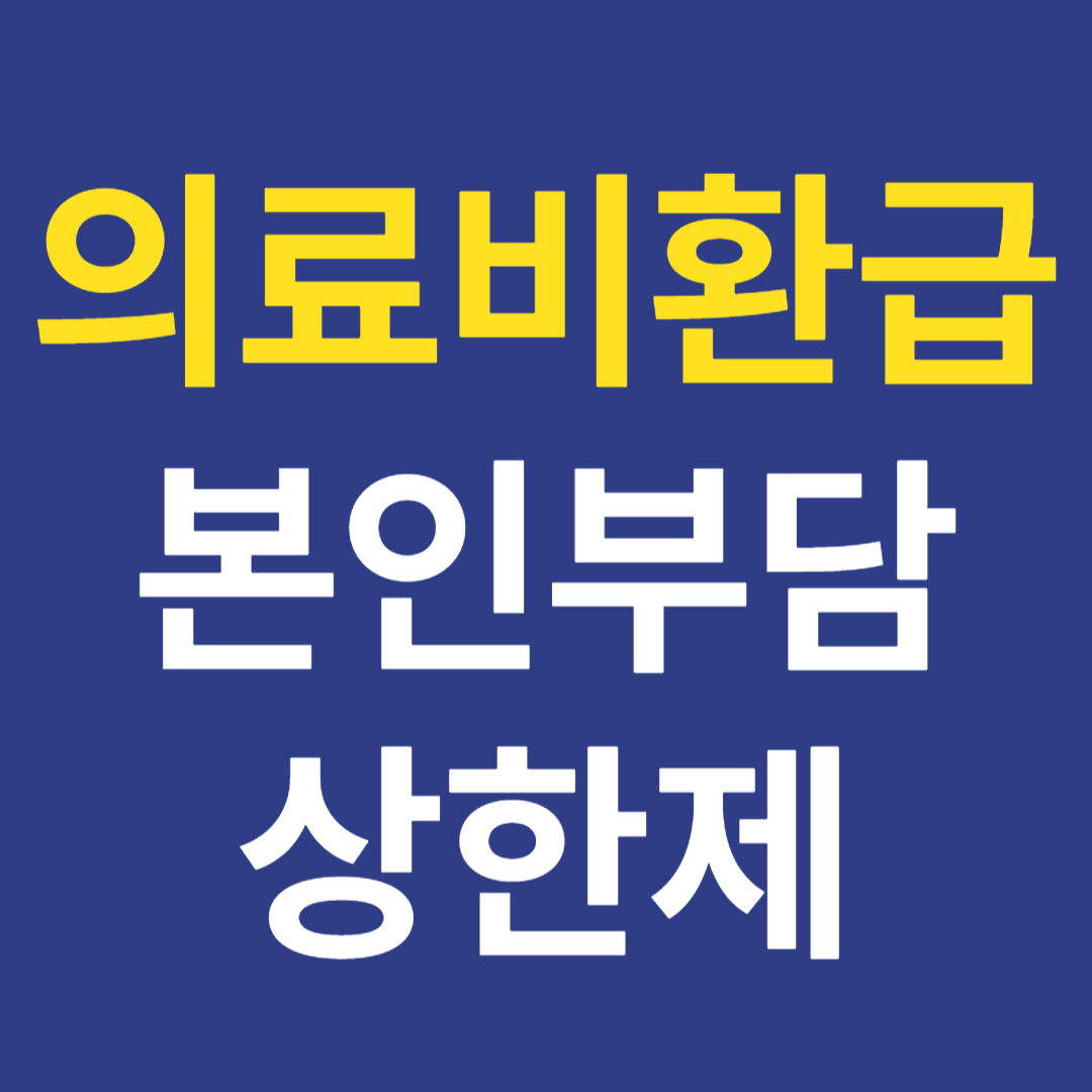 의료비 환급, 본인부담 상한제