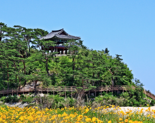 청간정