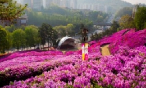 군포 철쭉축제 초대가수 및 일정 총정리