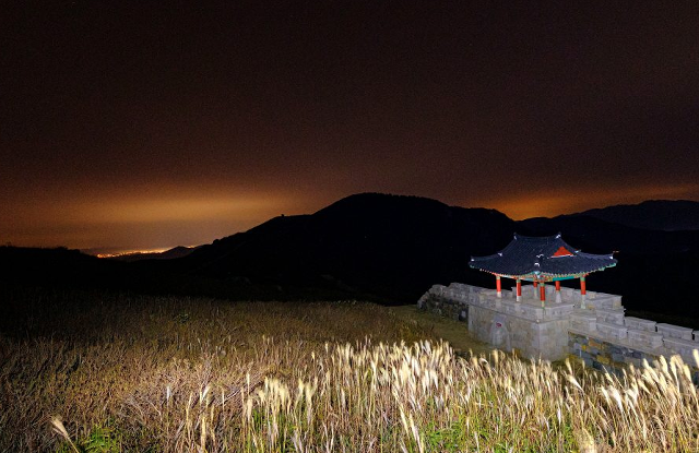 산청황매산 철쭉제