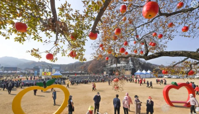 2023-가을-단풍-여행-추천-청송-사과축제