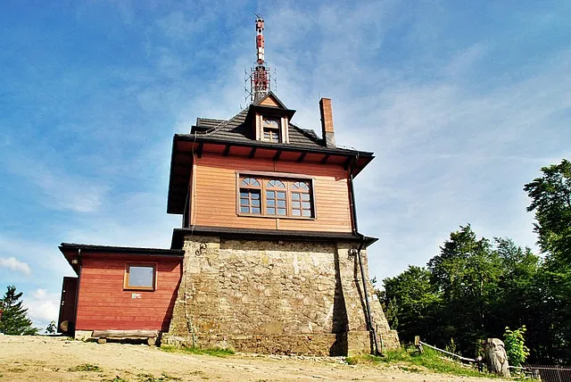 키드키즈 홈페이지 바로가기_8