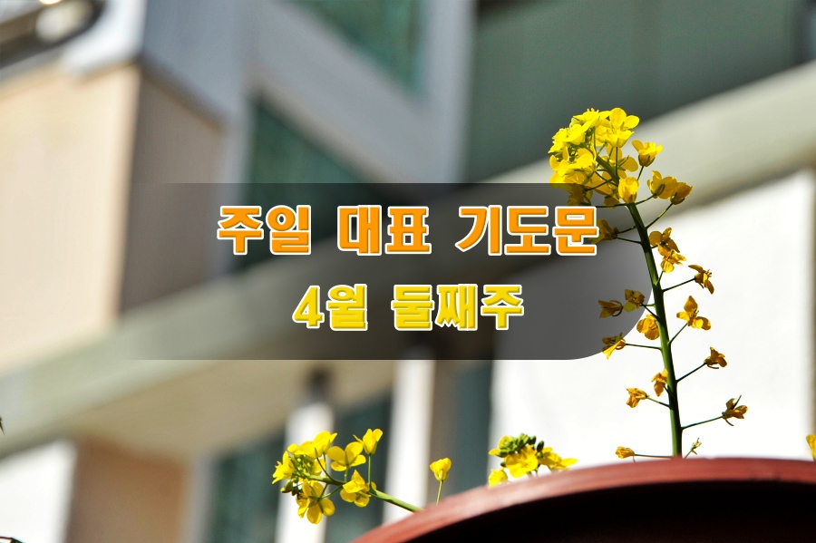 주일 대표 기도문 4월 둘째 주