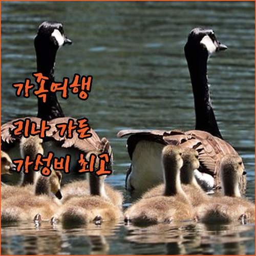 가족 여행객을 위한 추천 리나 가든 ..