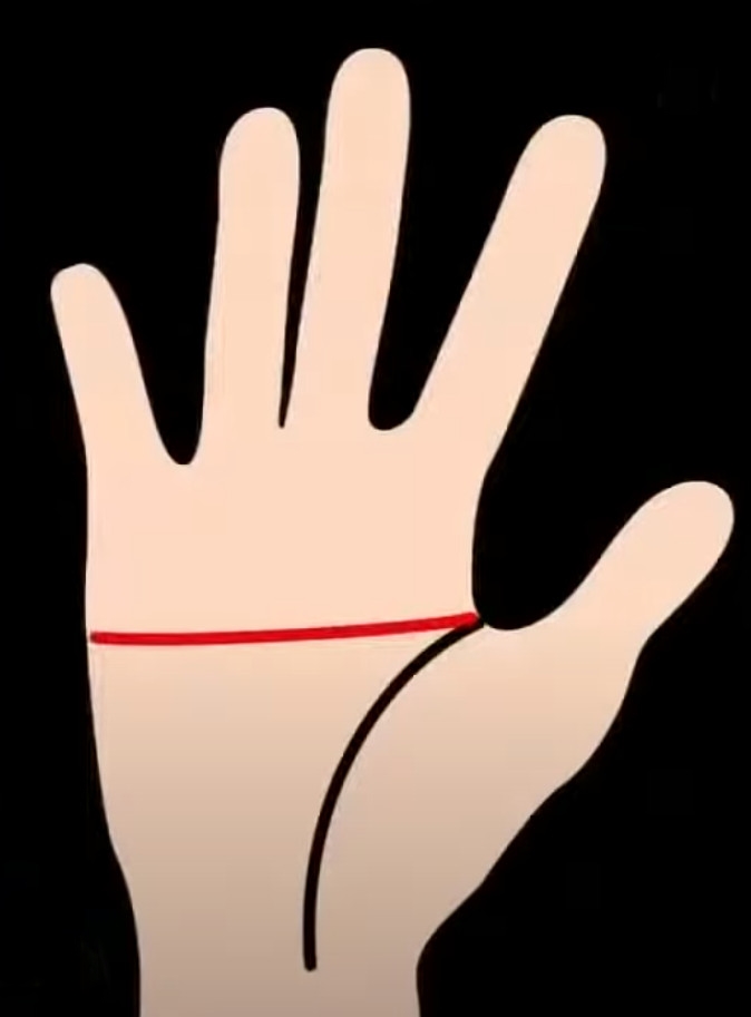 손금 보는 방법 두뇌선 지능선