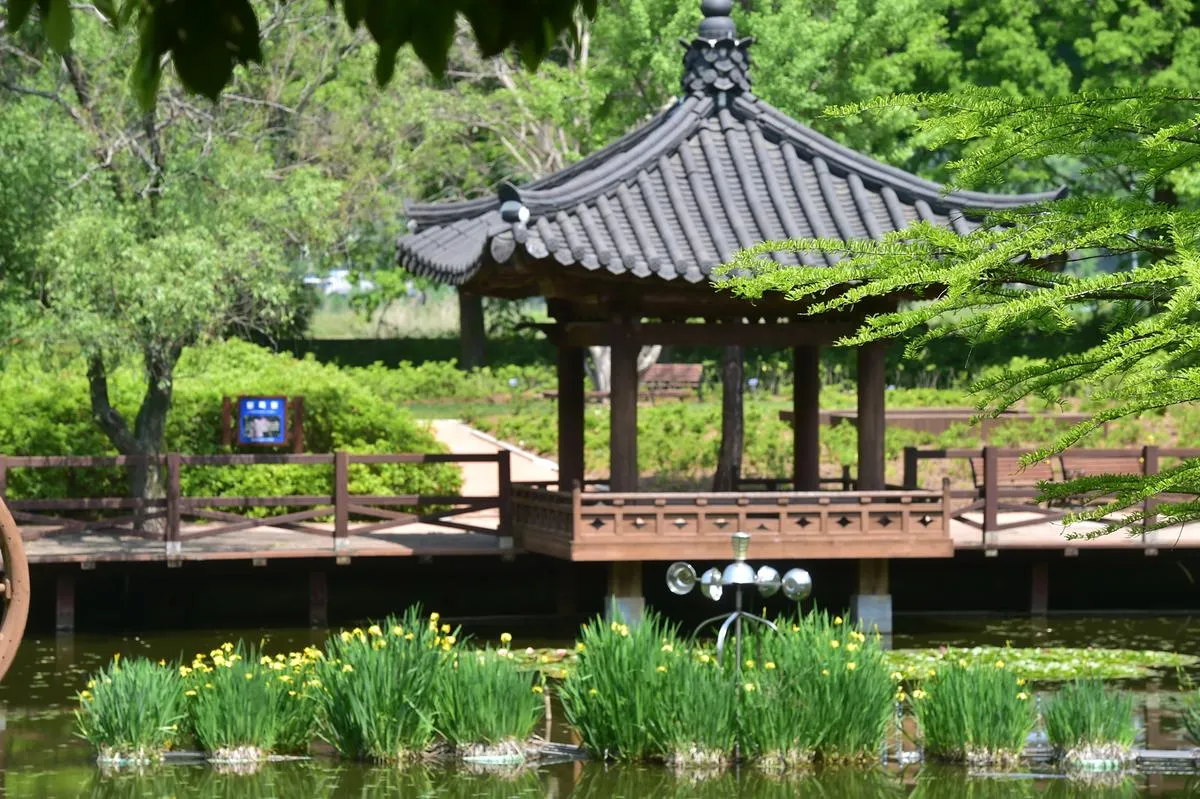 경상남도 수목원 5월의 꽃 관음죽꽃 핑퐁나무 황금자주달개비 마가렛 만첩빈도리 자란 크레이프자스민_3