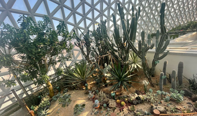 거제식물원 정글돔